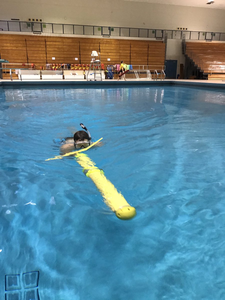 NASLabMTU's tweet photo. Testing ROUGHIE and validating new #underwaterglider maneuvers #FridayFunDay #Robotics #auv https://t.co/2LNWuZ0J7D