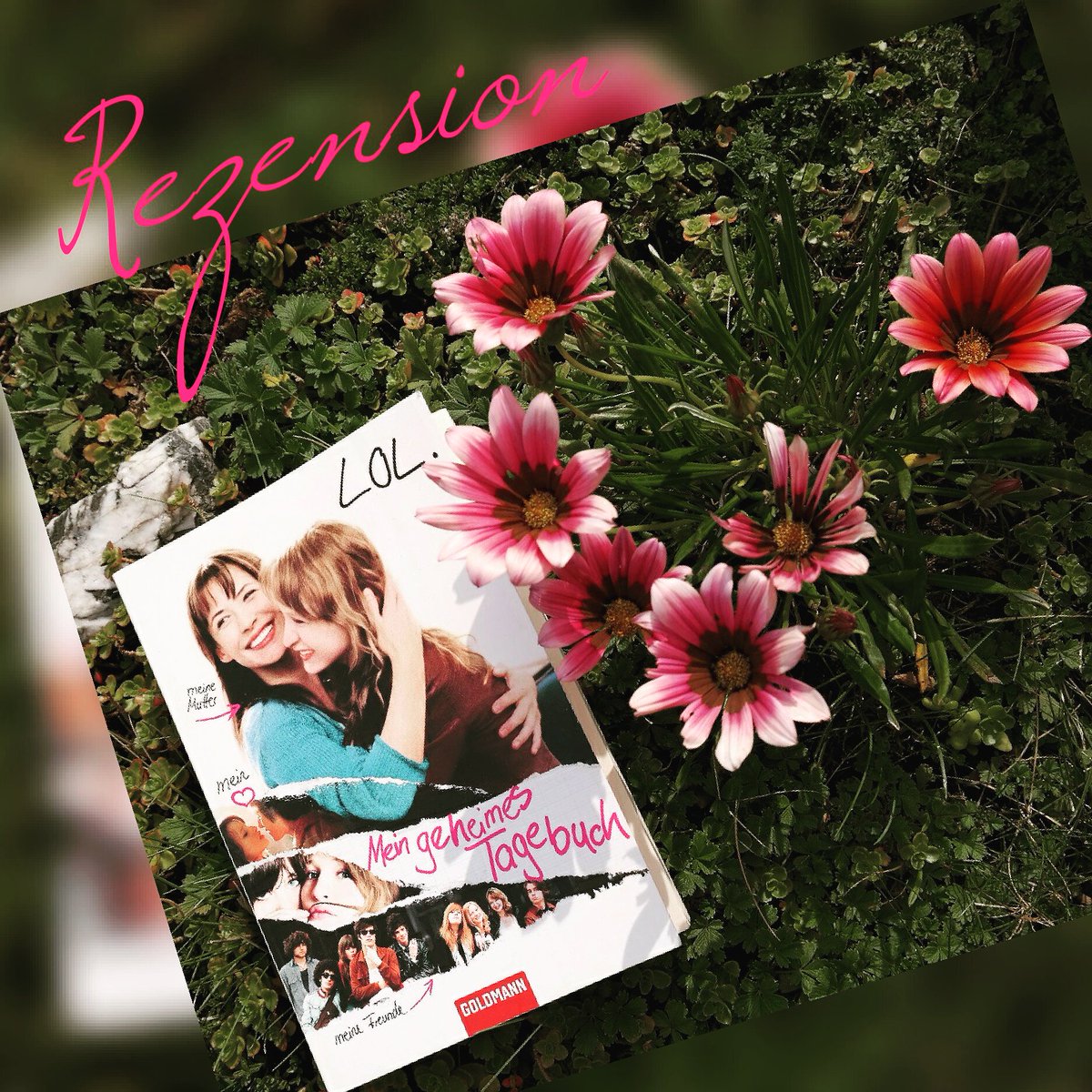 MitBuchIn_'s tweet photo. Eine etwas andere Rezension von mir:
Buch und Film im Vergleich! ♥

https://t.co/XRpUXE7aKf https://t.co/Ka5nvuxSvd