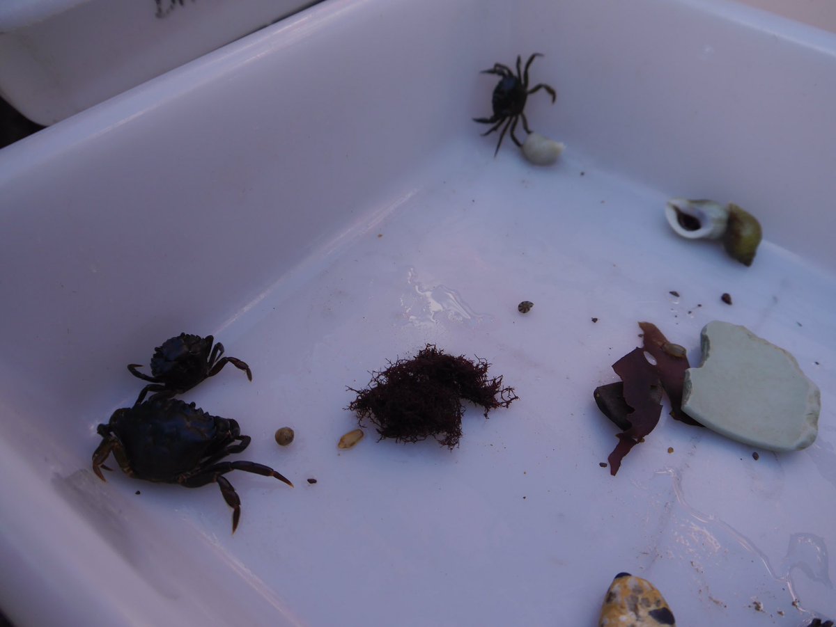 UCS Biology tweet media