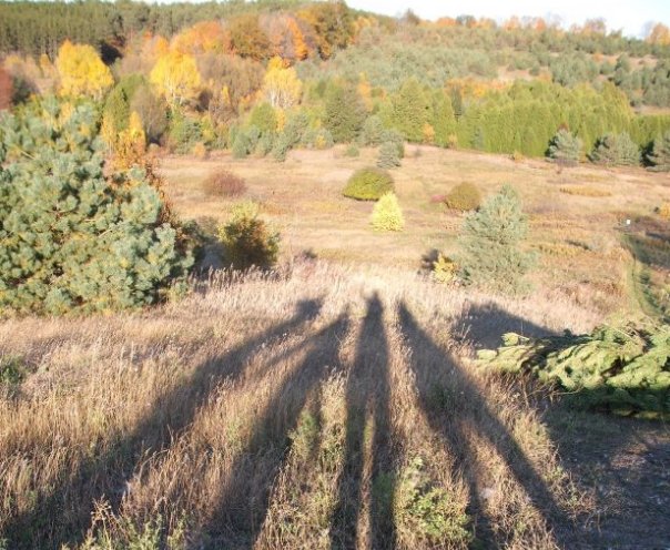 A strong #naturalheritage system plan for the Greater Golden Horseshoe requires #community engagement. Here's why: bit.ly/2wXKxcR