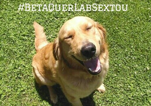 Sorria! que hj é #BetaQuerLabSextou que a felicidade contagia todos vcs,vem com gente,que #BetaQuerLab é só alegria,bom dia🌞pra todos vcs😉