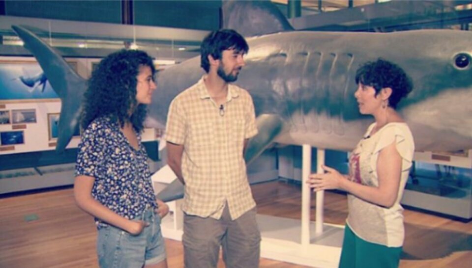 OliverInaki's tweet photo. Mañana en #hazteeco salimos Clara y hablando de tortugas y de nuestro proyecto kowabunga. En Neox y A3media https://t.co/k33srwC9Ge