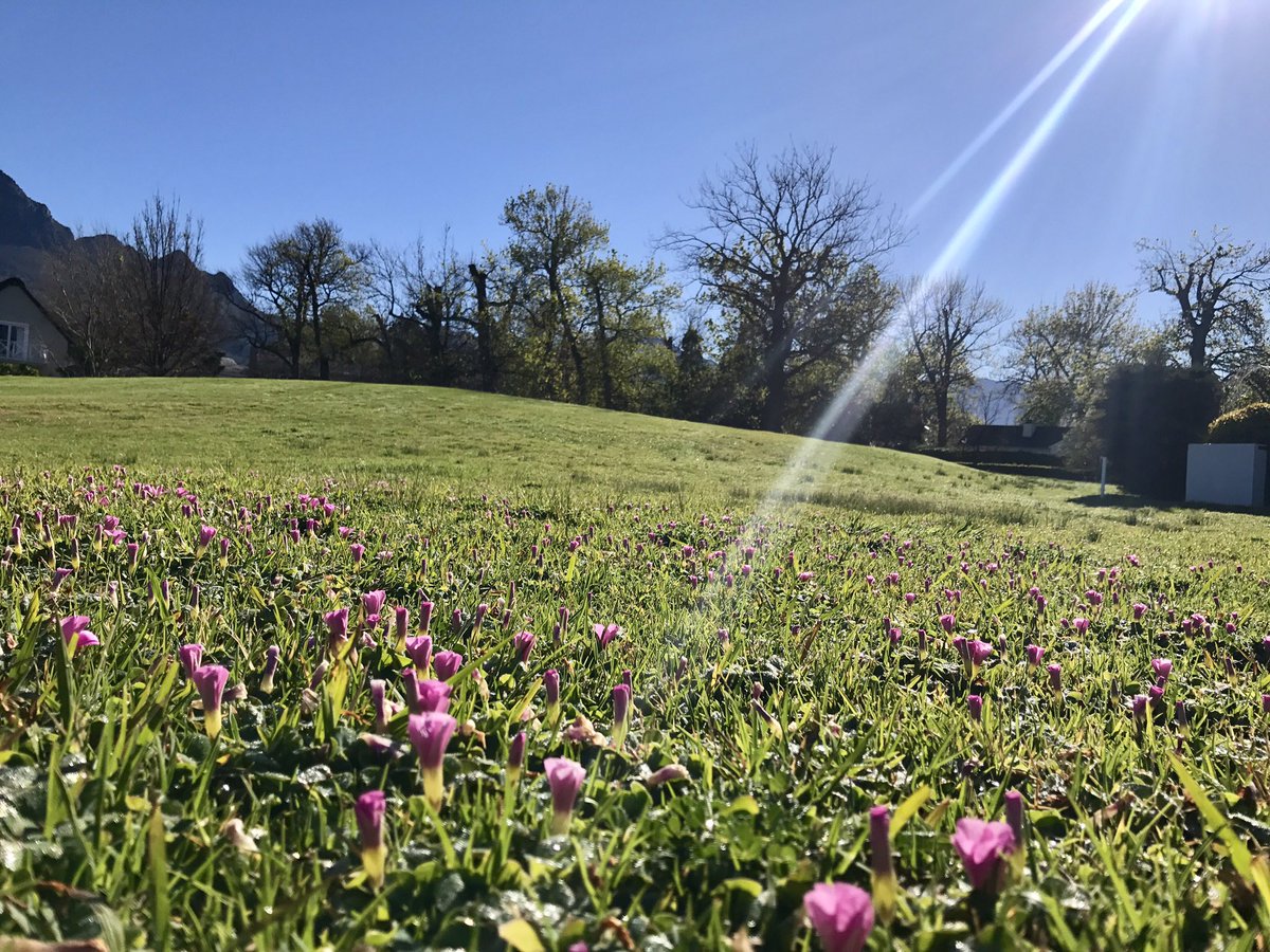 sheryllecalder's tweet photo. Happy #SpringDay2017 Excitement in the air.... https://t.co/YBbcgJX40r
