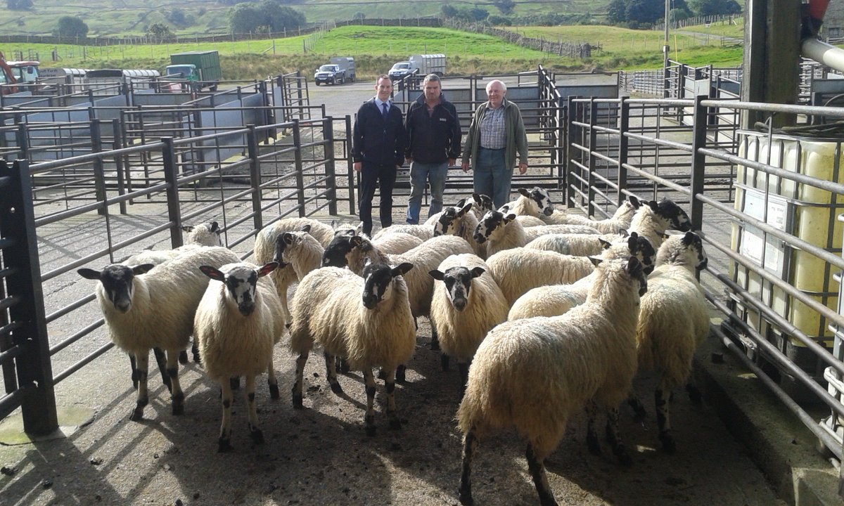 OReillyHawes's tweet photo. Stuart Clarkson presenting today's O’Reilly Champion Store Lambs trophy at Hawes Auction #HFAM #championstorelambs #sponsoredbyus #clarkson https://t.co/L3Gq1gPGPA