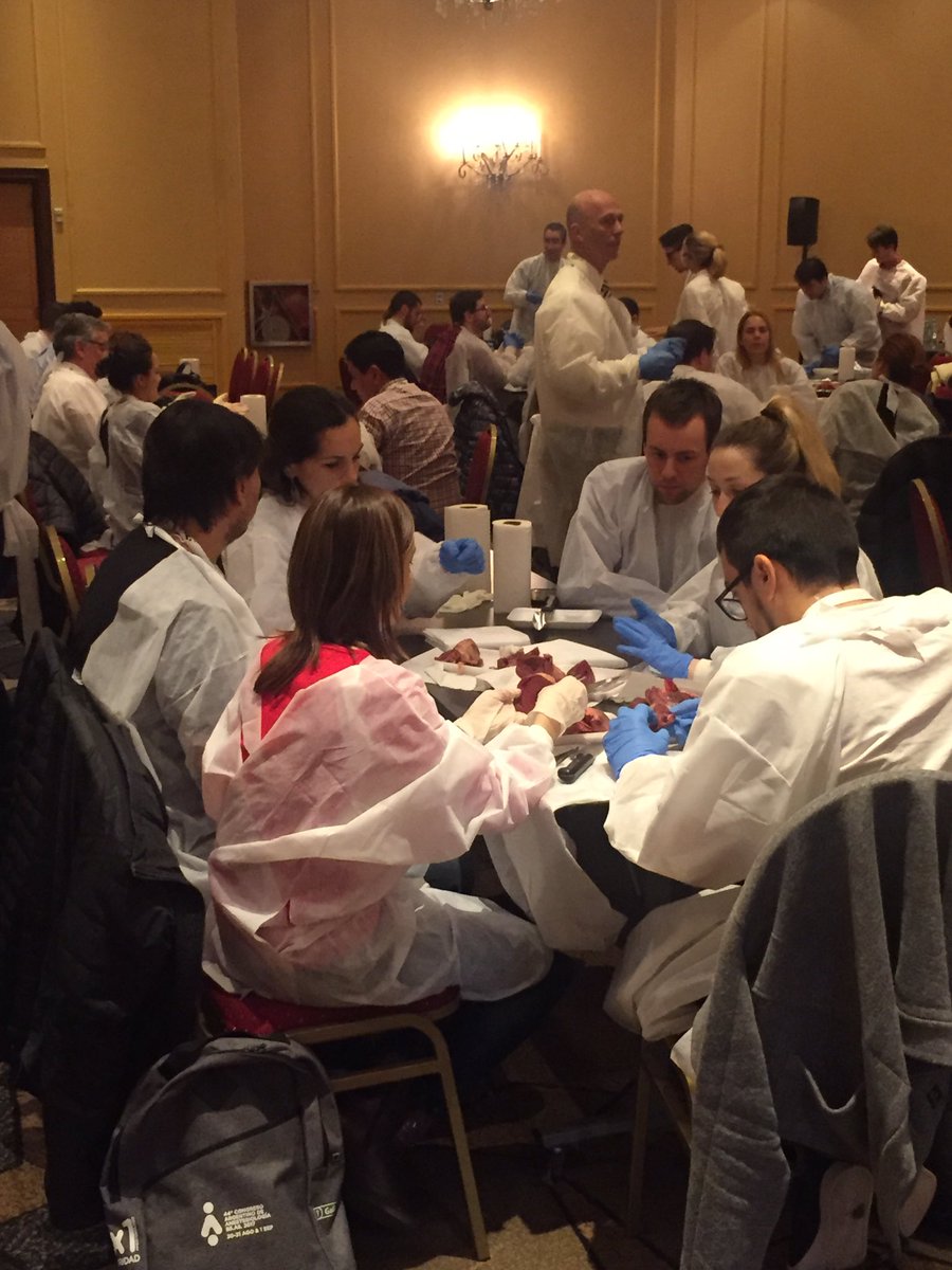 CAA_2017's tweet photo. Curso Ecocardiografía Transesofágica y Transtorácica Perioperatoria - Dra. Carolina Cabrera (Chile) y Dr. Gustavo Abuin #AprenderHaciendo https://t.co/yAFAlOXDRI