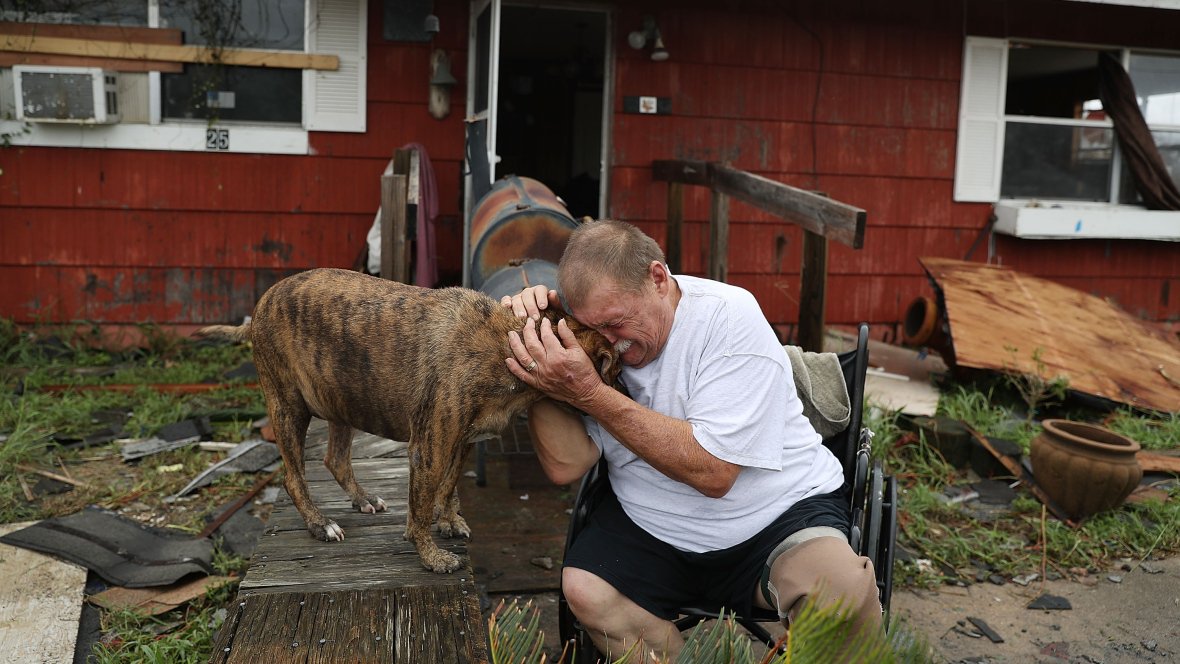 activepawscincy's tweet photo. Texas residents save their beloved pets from Harvey's wrath #texas #hurricane #harvey #rescue #dog #dogs #pets #pet https://t.co/L6f06ekdp4 https://t.co/Do892sKmv1