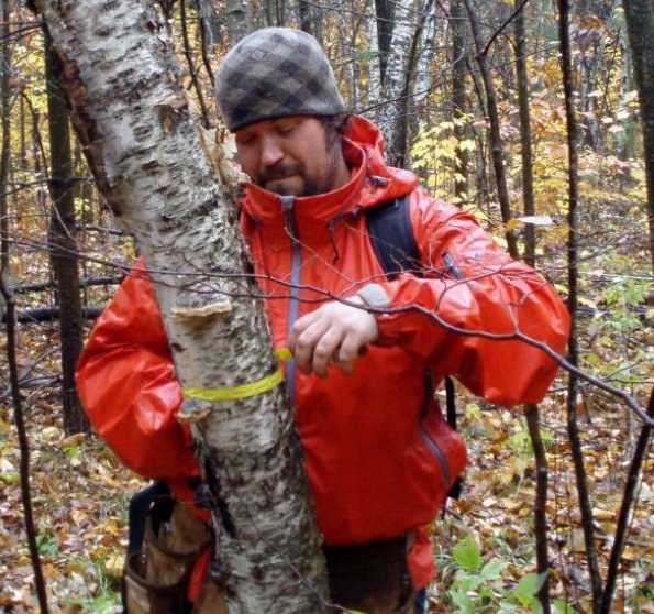#Communities have a lot to offer in building a strong #naturalheritage system for the #GreaterGoldenHorseshoe: bit.ly/2wXKxcR