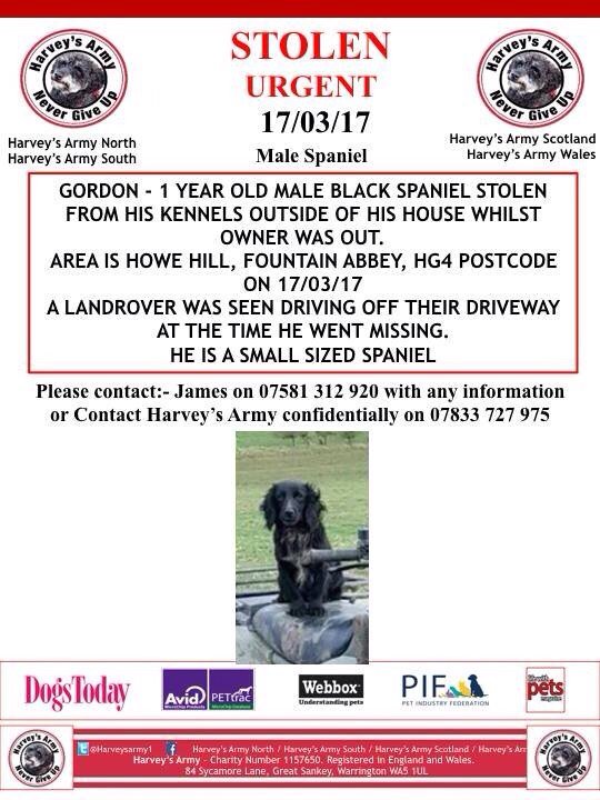 blacklab115's tweet photo. #findgordon #stolen could you spare a little rt for him pls? Thanks https://t.co/b2OQrX2bsn