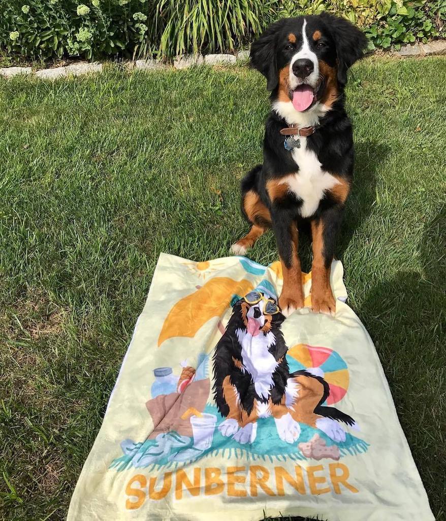 beatrixandmidge's tweet photo. Stay, Sunberner, stay!! Due to popular demand, we are keeping the #sunberner items in our shop for one more week, … https://t.co/CN71CcfQyJ https://t.co/pg5U6K5I0x