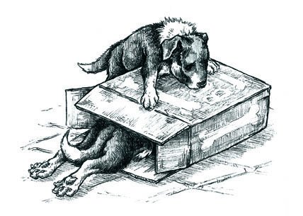 Emma Howitt Illus. tweet media