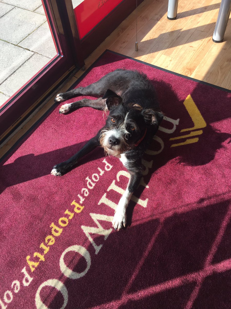 Latest member of the team <a href="/NorthwdSolihull/">Northwood Solihull</a>