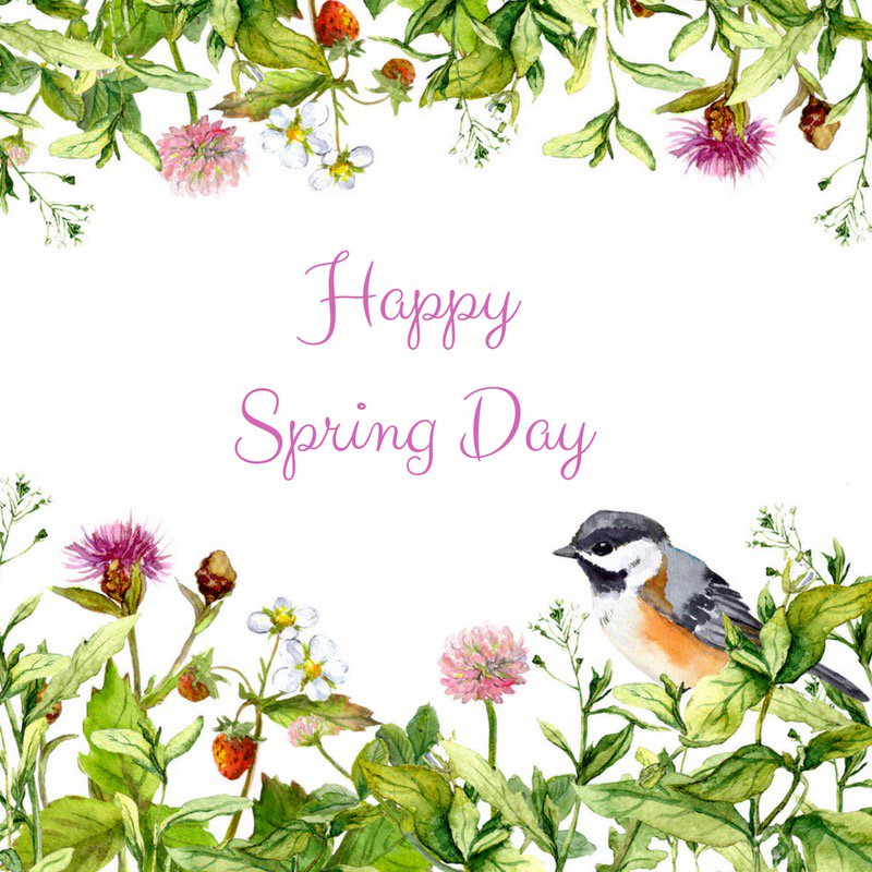 talborne's tweet image. Happy Spring Day from the Talborne Organics Team #GrowingHealth #SpringDay