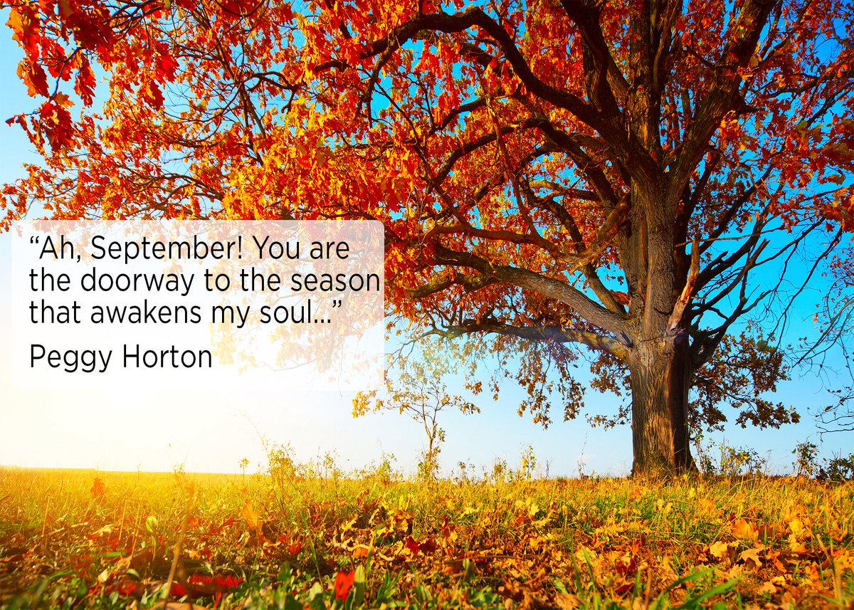 Marblelife DelValley (MarblelifeDelVa) Twitter