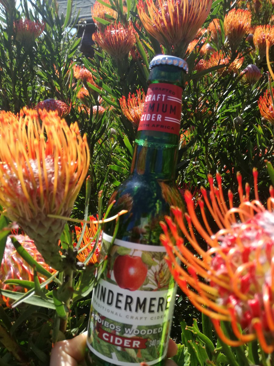 Windermere Cider CC tweet media