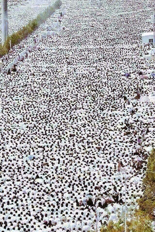 يالله .. ماهذا الجمال .. ما هذا السلام .. ما هذا النقاء .. هذه أمة الإسلام. هذا فخرنا وعزنا ورفعتنا.