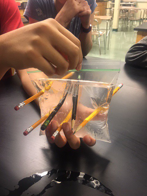 CoachHawk_bhs's tweet photo. A little fun to start Friday in Biology https://t.co/6FJV9PDlMQ