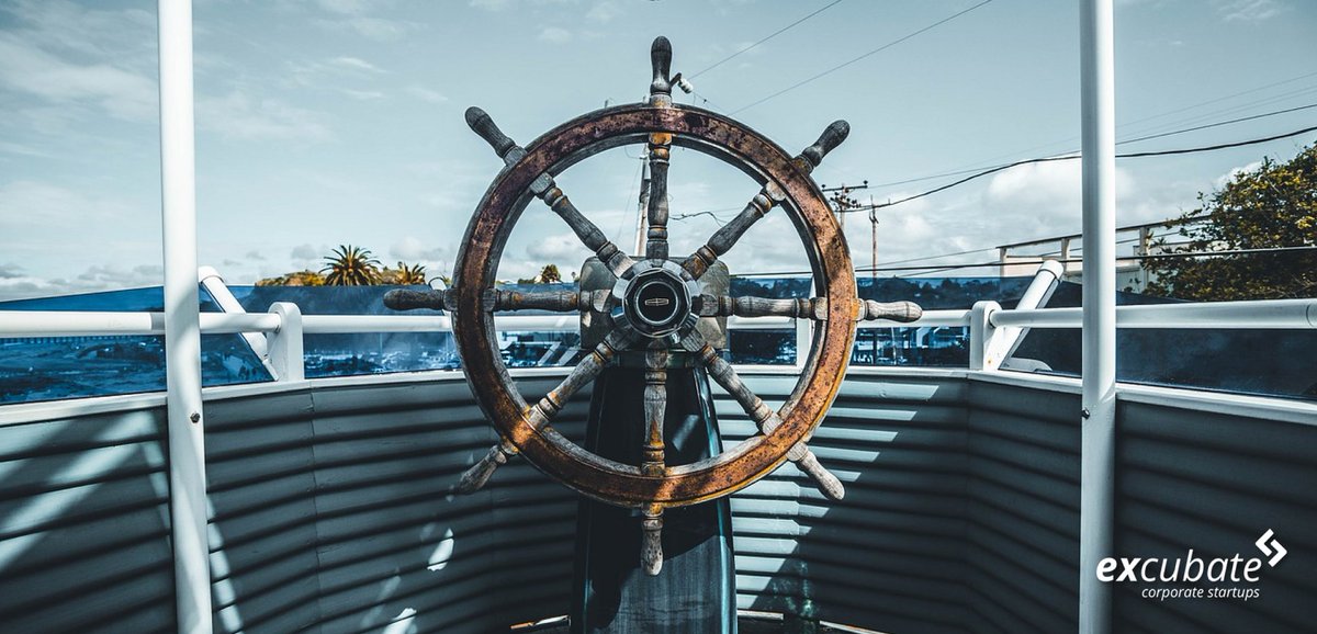 excubate tweet media