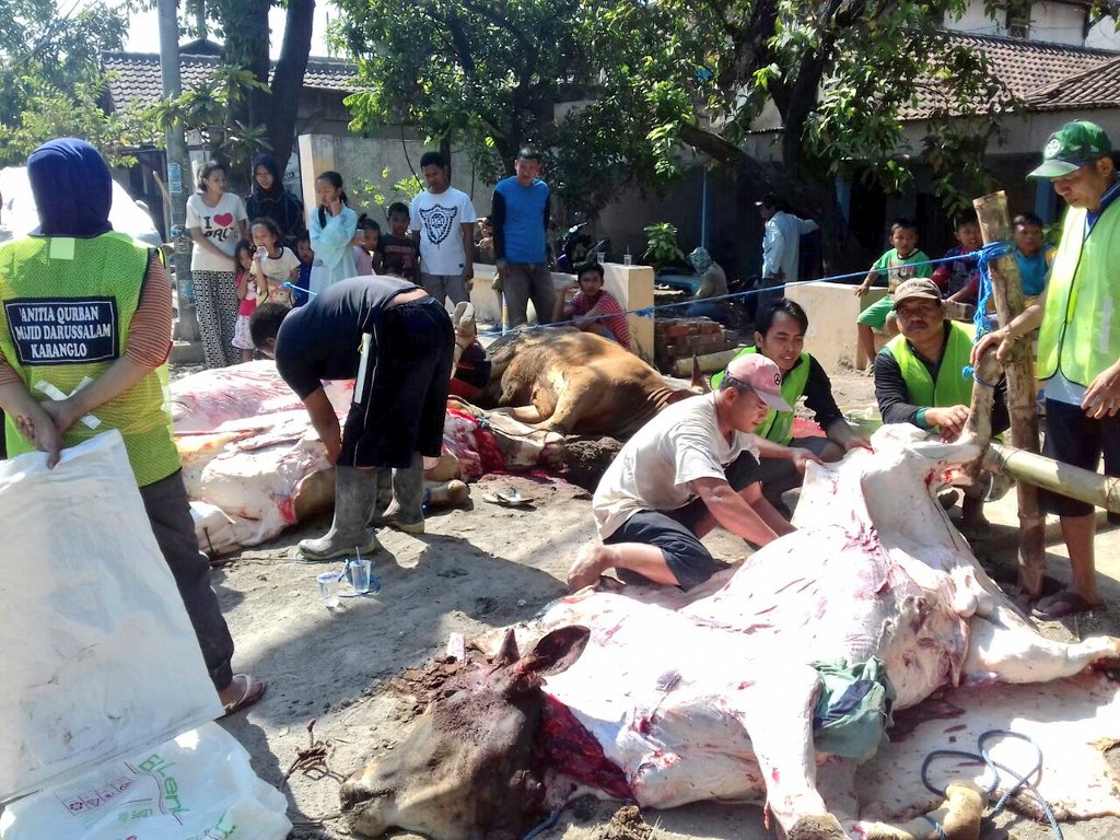 AbahJono's tweet photo. Panitia Qurban 1438 H. "Abah Jono" https://t.co/O6lMqIPwsX