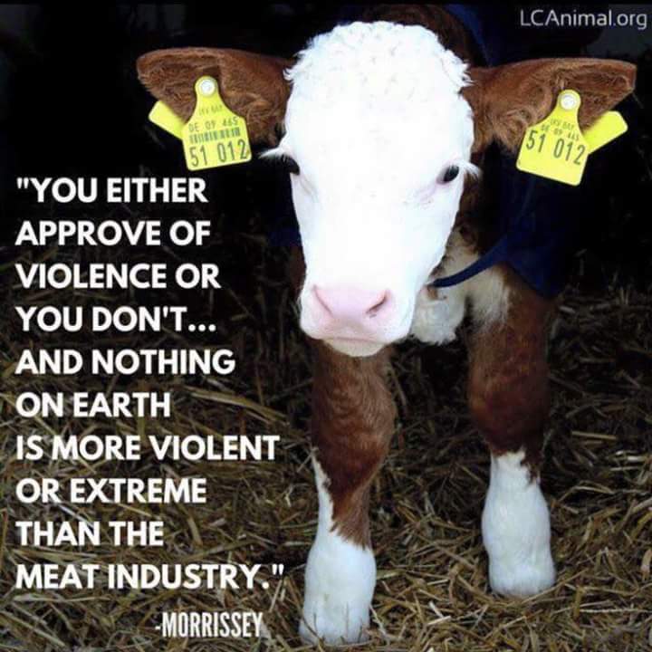 Art Howard_Go_LHS (@arthoward1806) on Twitter photo 