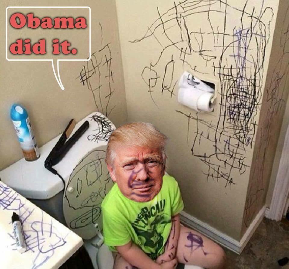 @realDonaldTrump Tweeting on the toilet again? Shame on you.. blame it on Obama.. old man child.. #IRSINVESTIGATION #BringTrumpDown #TrumpRussia #TrumpResign