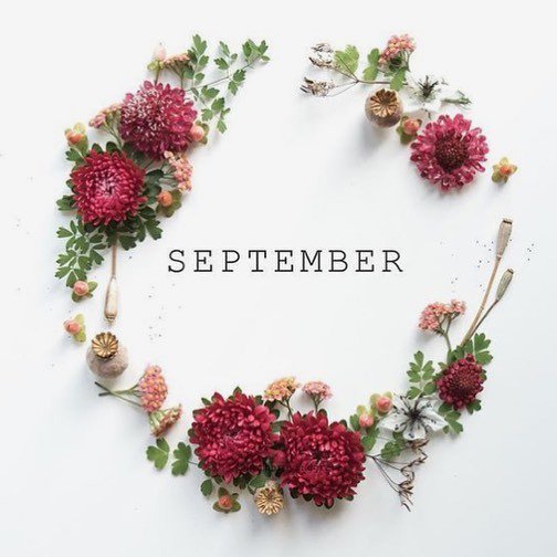 HMHevents's tweet photo. Hard to believe we're already in September! Excited to start working with those beautiful fall colours 🍁 https://t.co/K7ooHmSqfT