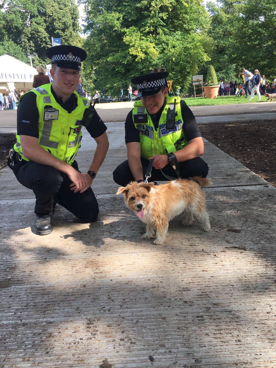 Defender Burghley Horse Trials tweet media