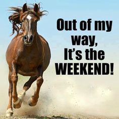 Hey it's Friday and a long weekend to boot!