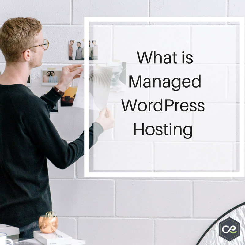 WebHostFace's tweet photo. Managed #WordPress #hosting can contribute enormously to the Success of Your #Website
https://t.co/Mf082XzqRi
#blogging #onlinebusiness https://t.co/7hsULGyxYF