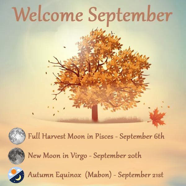 scrapperk's tweet photo. Had a great summer and I will miss it but  #HelloSeptember!! Hello, cool, crisp and new beginnings! https://t.co/c0p38zqyay