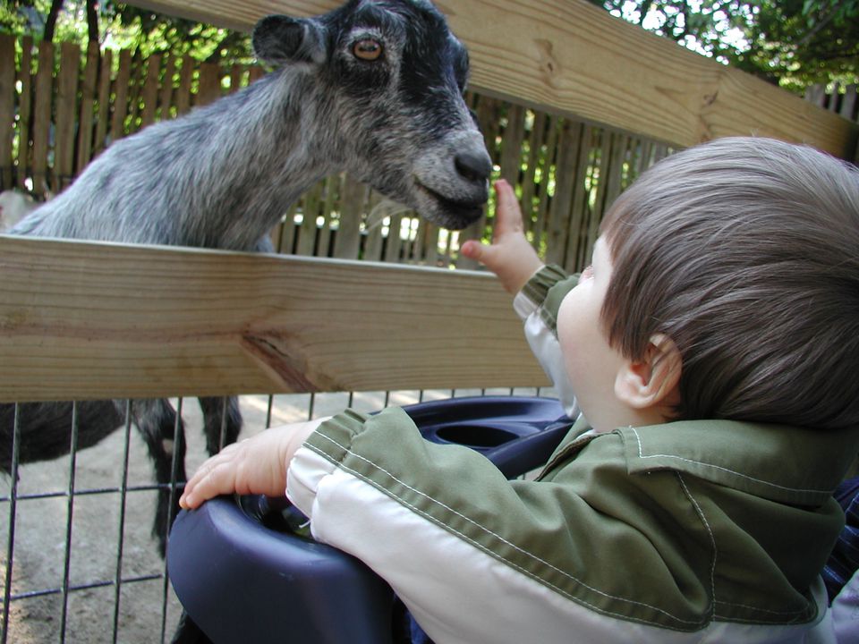 Susan Adcox tweet media