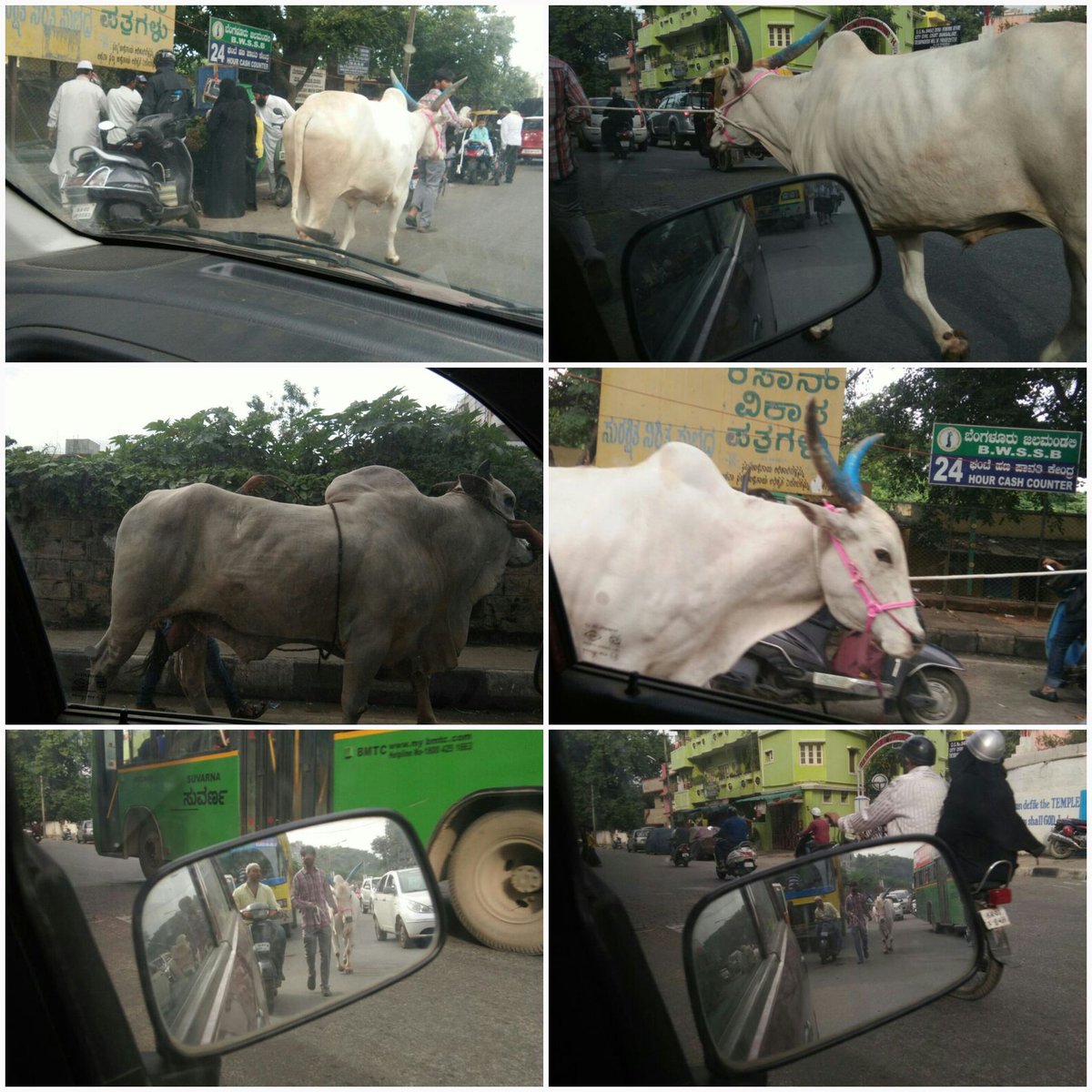 ShreeRaamaa's tweet photo. @SandeshaTS @sandhya_laxmi @AkshathaBhatTP @anki_neerpaje @Poorna_Murooru @Vidyakailankaje @shishir_heg @SharadaDiamond @prajnakapasi @PoushaBhat @CMofKarnataka @BlrCityPolice @CTRavi_BJP @BSYBJP @INCIndia @VishwavaniNews @VVani4U @VijayaKarnataka @PMOIndia @narendramodi @AmitShah @blrcitypolice_ @RSSorg @TruthRoars @HinduDharma1 @HindusRajyam @poornakapasi @pvshiva @Shivajinagarbcp @GeethaPrasas @geethamanjappa @tantry_b @VishweshwarBhat @vinayakmuroor @astitvam @korikkar @ajithherenje @anitamhegde @mkorikkar @yvkmoorthy @DrRavi75 @MadhuGomathi @GouParivara #MissingCows
Dear @CMofKarnataka you claimed to be an Hindu, if so please initiate the action immediately
https://t.co/xEI4FEBfwc https://t.co/0zWTVuDBEv