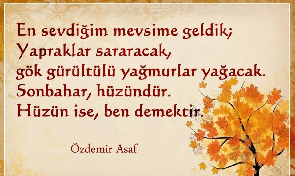 Toliq metrajli nemis porno jinsiy aloqa HD filmini onlayn tomosha qiling