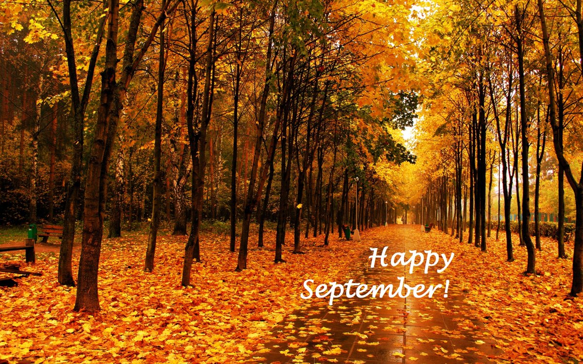 willowspizza's tweet photo. We hope this month gets off to a great start!  #happyseptember https://t.co/z70XFqN8iL