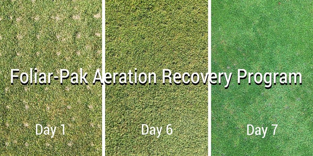 Treat your aerated turf with a complete foliar program from <a href="/FoliarPak/">Foliar-Pak</a>. Download the warm and cool season programs: buff.ly/2gmR462