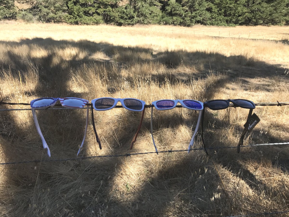 50% OFF SITEWIDE! This weekend only! No promo code needed. 
cheerssunglasses.com