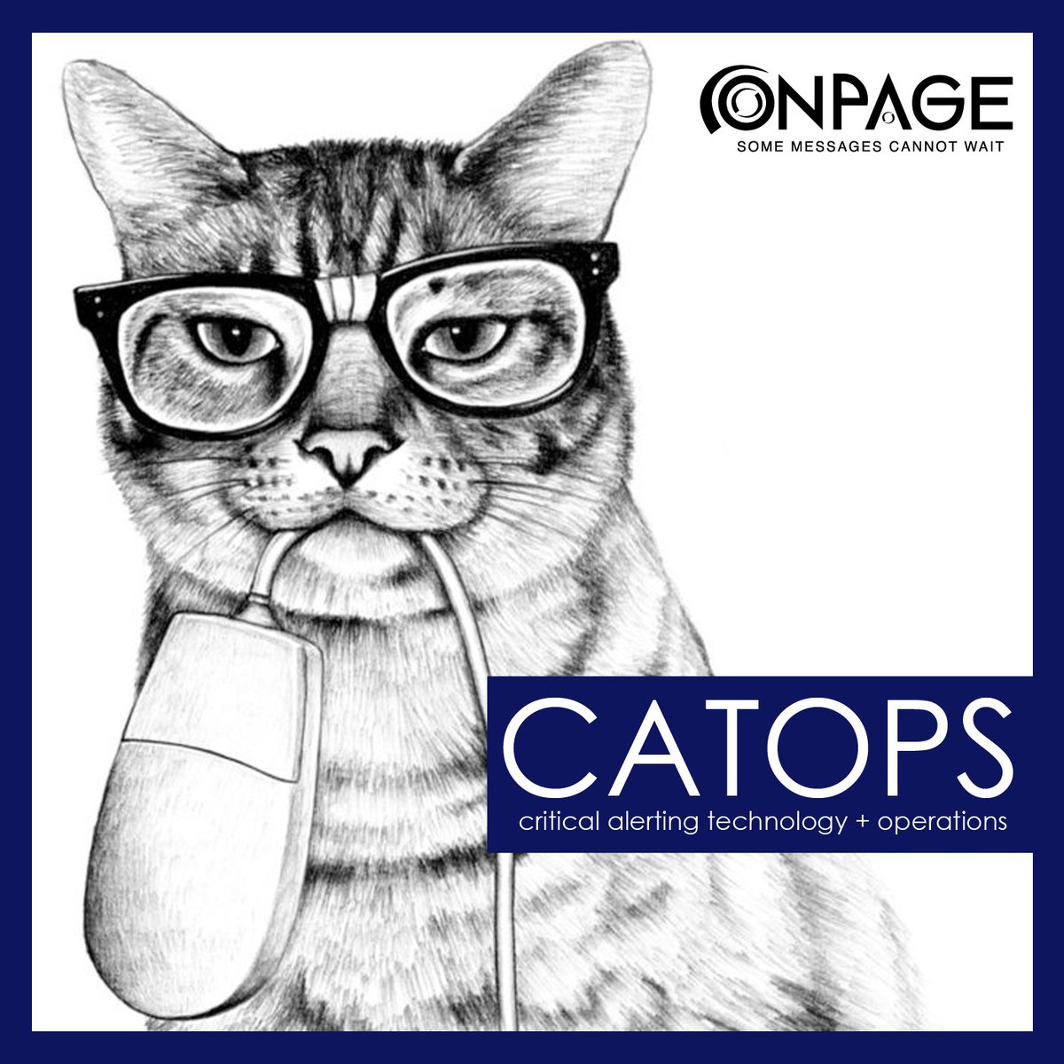 On_Page's tweet image. .@On_Page  knows how much the #devopsdaysboston  crowd loves cats. So we embraced #catops. h/t @tyrostone Stop by booth 11 to learn more