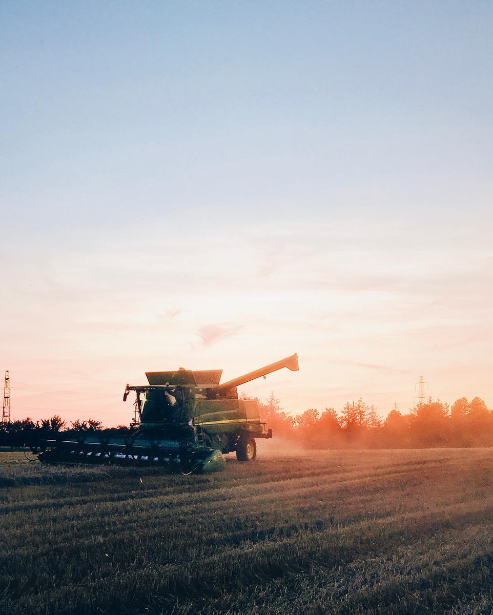 GoVisitDenmark's tweet photo. It's harvest season all around #Denmark 🌾🚜Do you have any special #harvest traditions?
📷 henriklarsen88/IG #slangerup #crops #tractor https://t.co/5KZZpuE9xt