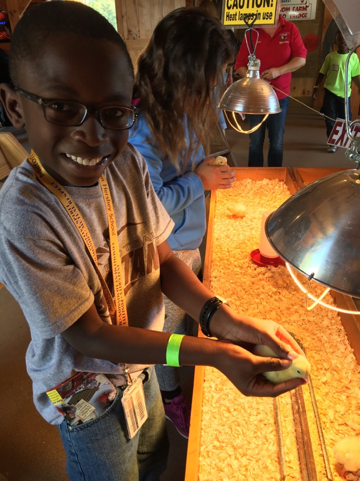 MHS_YearRound's tweet photo. We are getting ready for our fall events! These pictures are from last fall's Year Round Experience Events #makingmemories #MHS https://t.co/4x8lGGIHOS