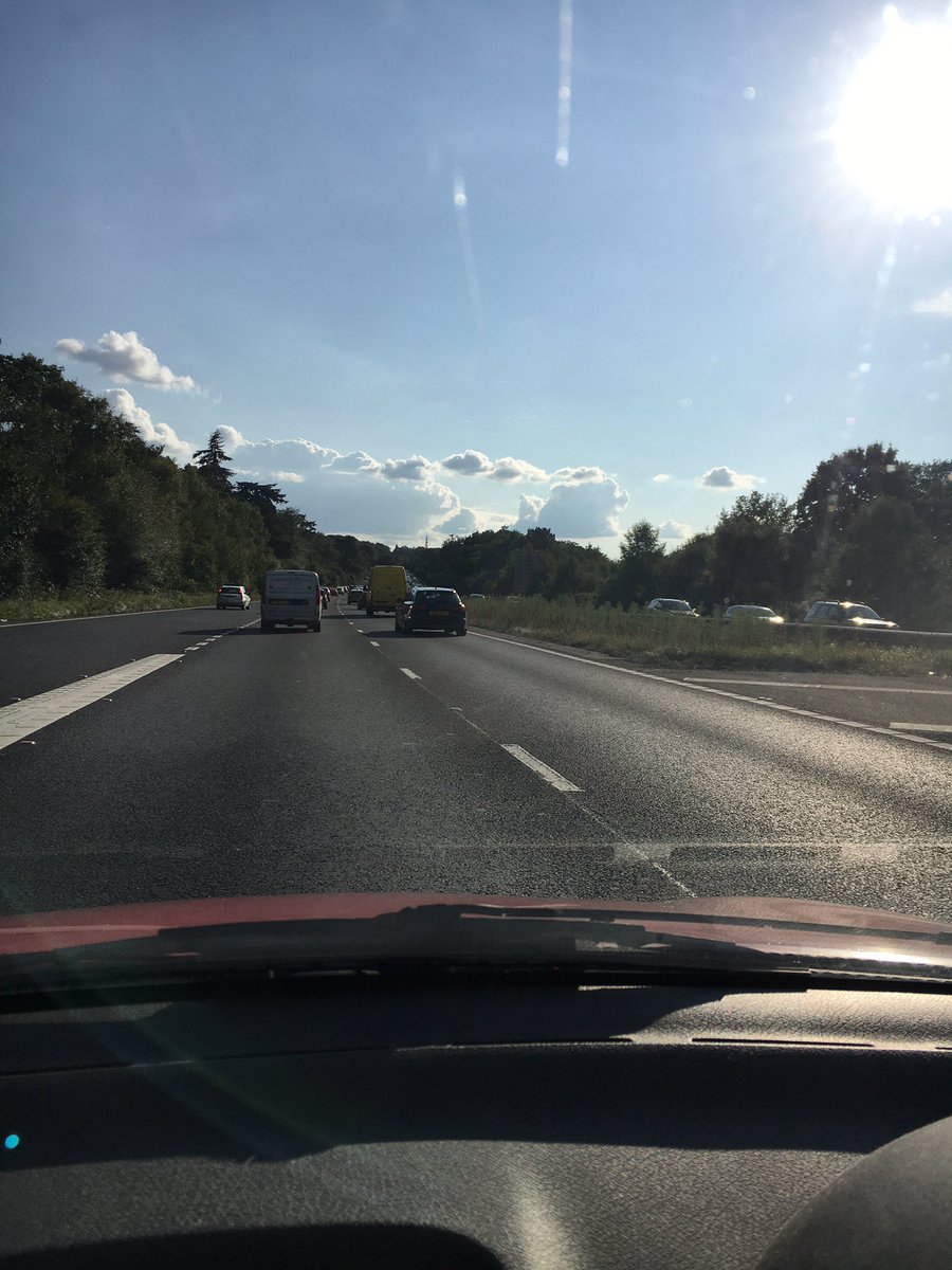 Lovely evening for a road trip off  glamping #newforest #sunshine ✨