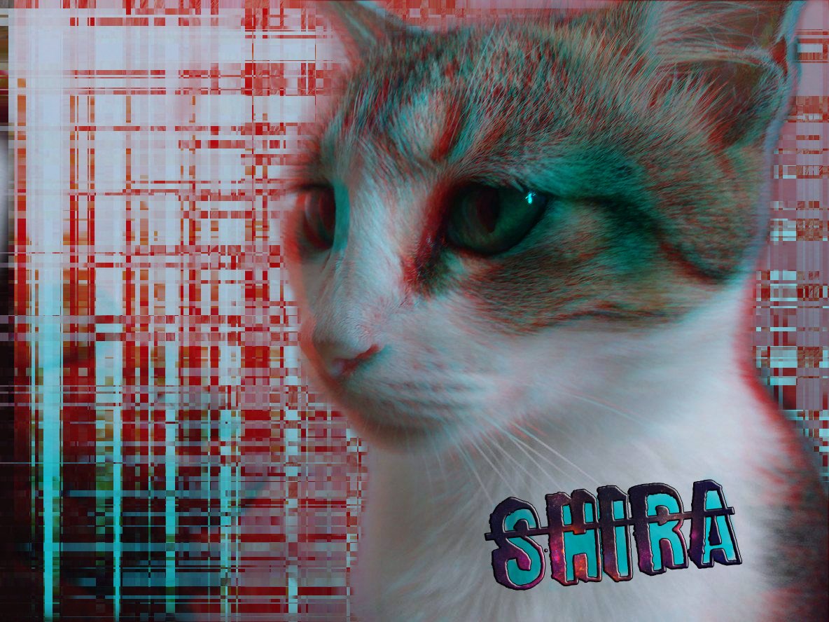 gomezjje's tweet photo. linda gata.. https://t.co/q52yS2MO1q