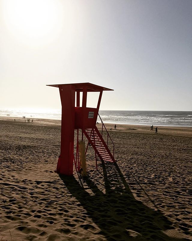 MazaganResort's tweet photo. Bay Watch at Mazagan 🏄 🏊 #visitmazagan #mazaganbeachresort #atlanticocean #uniquebeach #ilovemazagan #sunnyday☀️ 📷: @imeldashllaku https://t.co/03kBifIic8