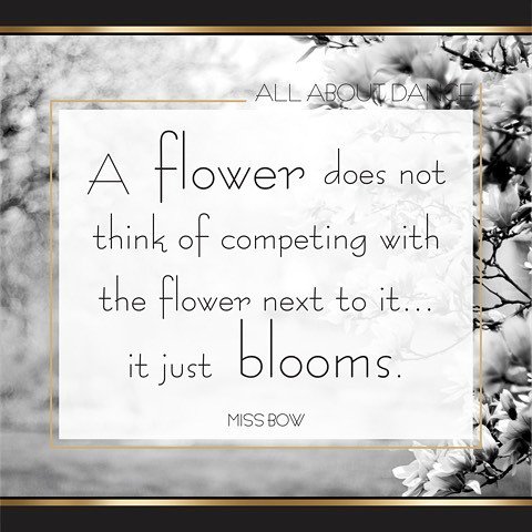 MissBow_SA's tweet photo. Happy Spring Day! 🌷 https://t.co/rL8x6uPF9L https://t.co/DSsRSoqkGR