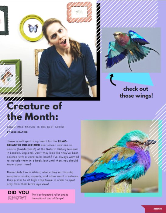 AnimalsSmartPpl's tweet photo. Vol 4 of my ezine for kids is out this week! Have you subscribed? Sneak peek: this beauty! https://t.co/Q47FmU84lh https://t.co/kEaFGH33SN