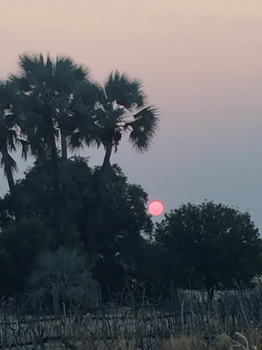 JustShingapi's tweet photo. #VillageLife #ShareMyNamibia the best sunset, not yet matched by any other. 😘☺️☺️☺️👏🏿👏🏿 #Engela https://t.co/oXtpwihtDR