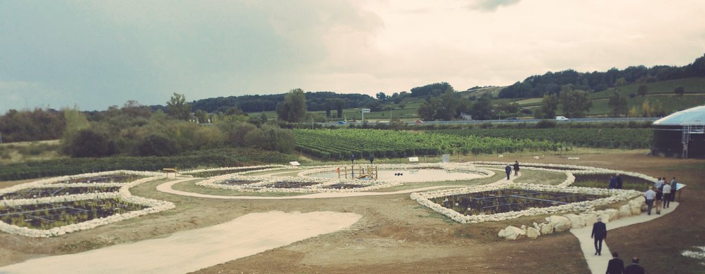 amelienollet's tweet photo. L'eau un enjeu fondamental. Auj @VigneronsBuzet inaugure leur Jardin des filtres, écosystème d’épuration naturelle (1er européen) https://t.co/HebYqZJiXA