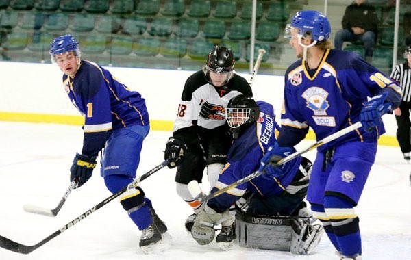 RoyalsJrBGold's tweet photo. 15 days until camp kicks off! Looking forward to another season coming up!  #flashbackfriday to the 2015 Alberta Junior B Provicials! https://t.co/T8GYntQZlL