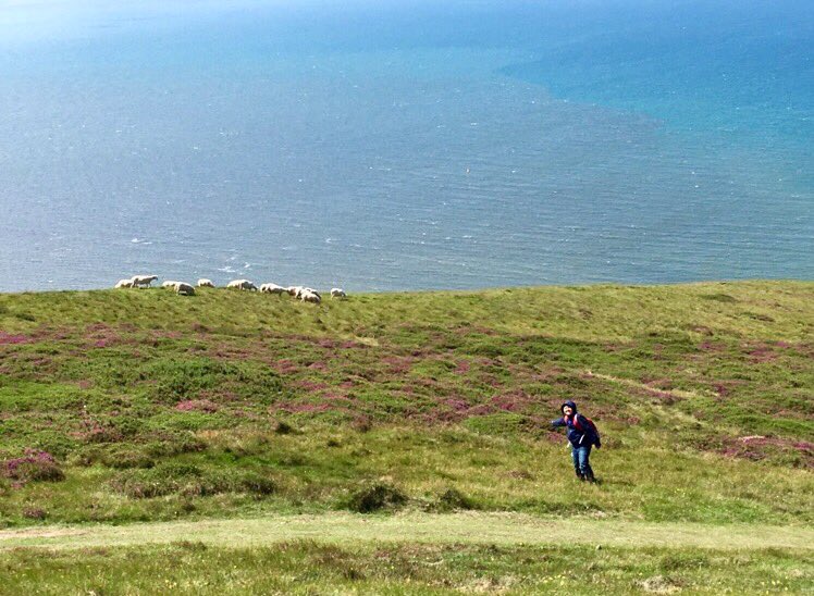 KayFestejo's tweet photo. @StBernsPrimary Brent's hiking experience! He also spotted some mountain goats! #JuniorExplorer #GreatOrme #northwales #DubPoseintheair https://t.co/gfRW2xKvT8