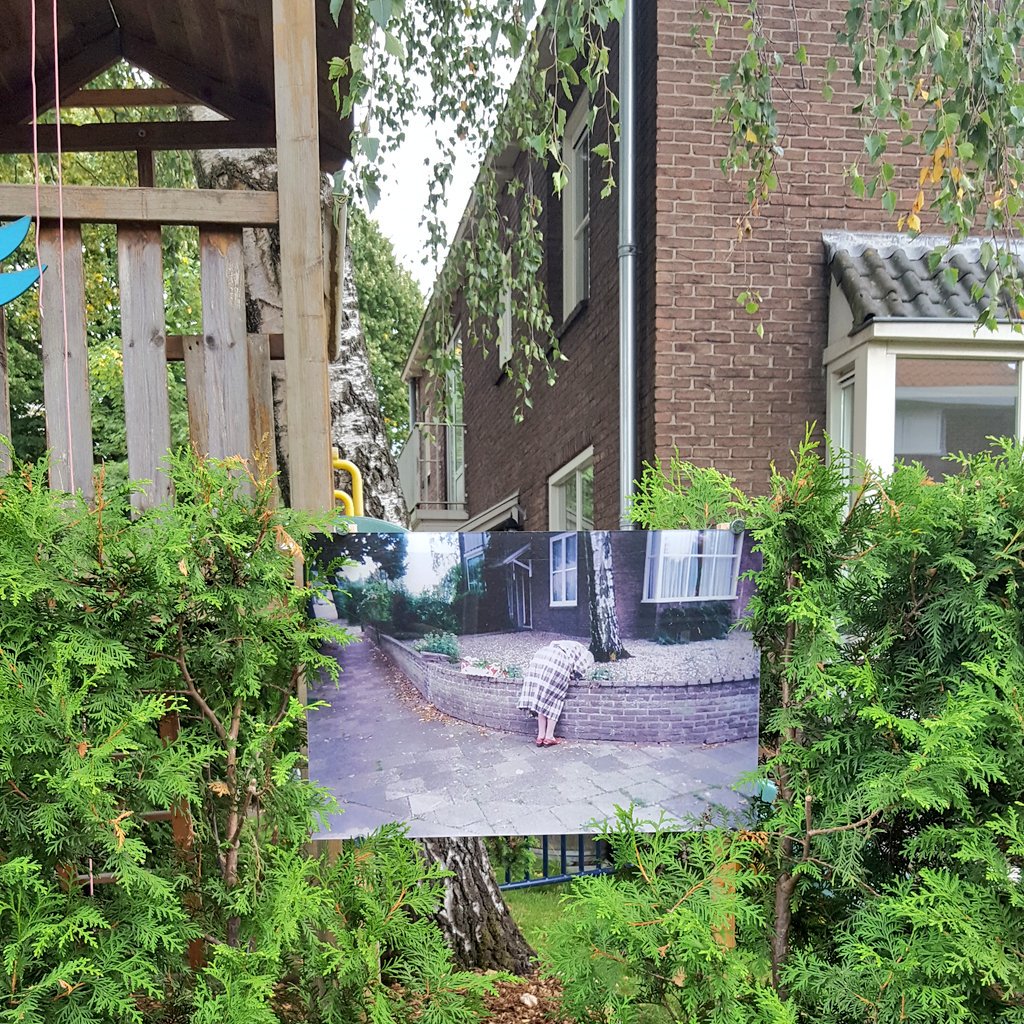 an irl twitter icon / mysterious plaque 

someone pls explain