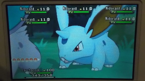 pkaddict58's tweet photo. Shiny n°12 #ToolsResort (Plage) Nidoran mâle shiny, en horde sur Y. Un 4ème couple d'amoureux a été réuni. https://t.co/ClIKg8q0KL