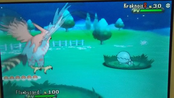 pkaddict58's tweet photo. Shiny n°13 #ToolsResort (Plage)Kraknoix shiny, en safari sur X. 3ème pokémon sol pour le beach volley. https://t.co/LGGCCojzOj